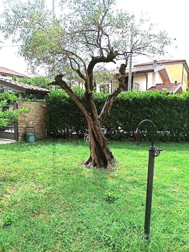 Appartamento in villa